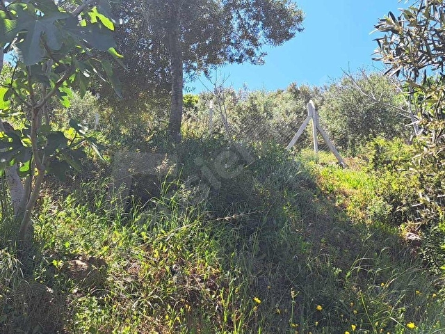 S.Hisar Ürkmez de Baraj ve Deniz Manzaralı Müstakil Tapulu Tarla - Görsel 12