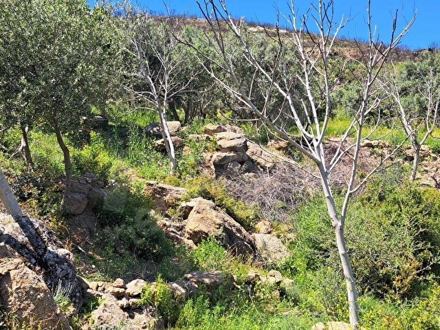 S.Hisar Ürkmez de Baraj ve Deniz Manzaralı Müstakil Tapulu Tarla - Görsel 28
