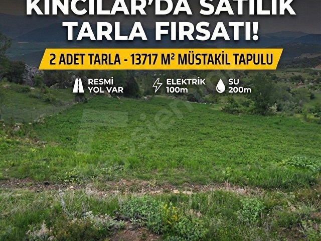MUĞLA SEYDİKEMERDE SATILIK  2 PARSEL BİR ARADA 13717 M2 TARLA