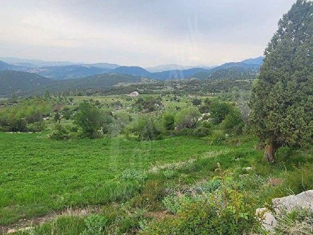 MUĞLA SEYDİKEMERDE SATILIK  2 PARSEL BİR ARADA 13717 M2 TARLA - Görsel 4