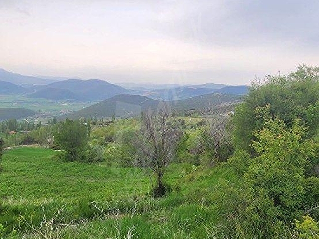 MUĞLA SEYDİKEMERDE SATILIK  2 PARSEL BİR ARADA 13717 M2 TARLA - Görsel 8