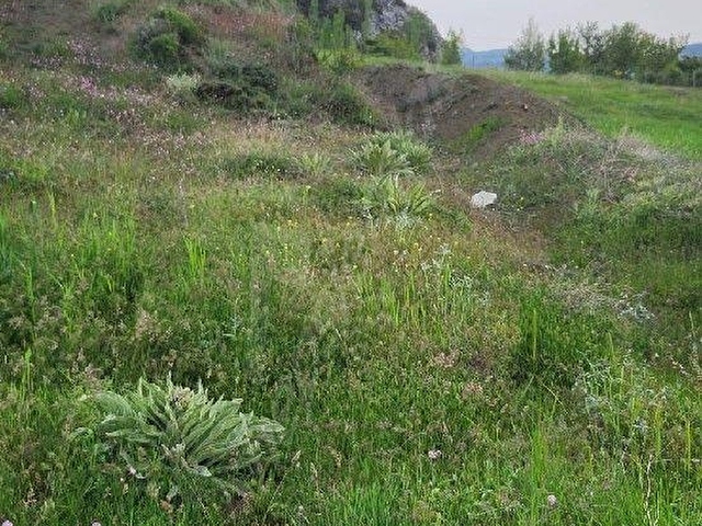 MUĞLA SEYDİKEMERDE SATILIK  2 PARSEL BİR ARADA 13717 M2 TARLA - Görsel 12