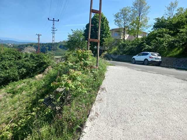 deniz manzaralı bahçe - Görsel 19