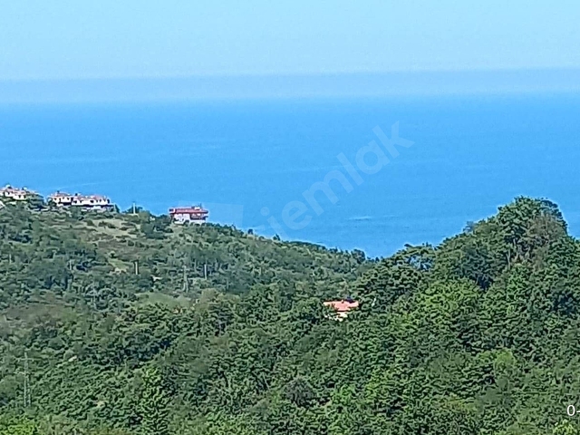 deniz manzaralı bahçe - Görsel 2