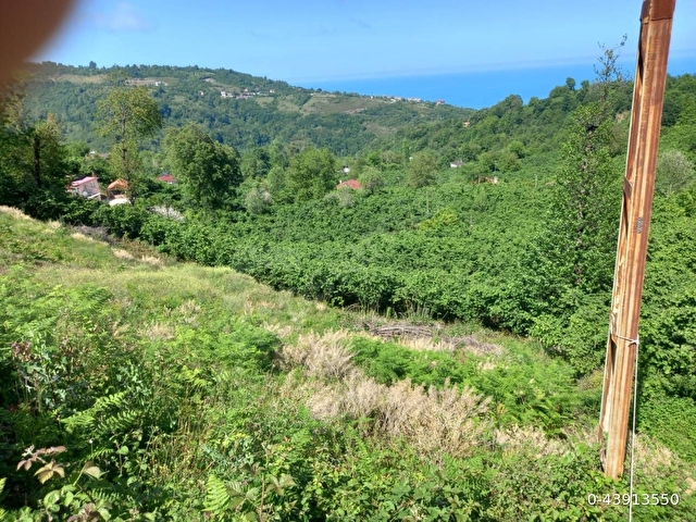 deniz manzaralı bahçe - Görsel 3