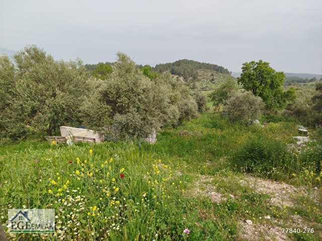 Egeden Muğla-Yatağan-Bozarmut mah. 895m2 ikikat imar 13dairelik - Görsel 5