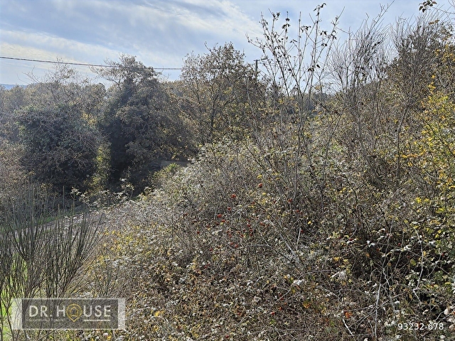 Şile Dr. House dan -Karacaköy Mah. - 659 m2 Net Arsa - 0.30 İmar - Görsel 14