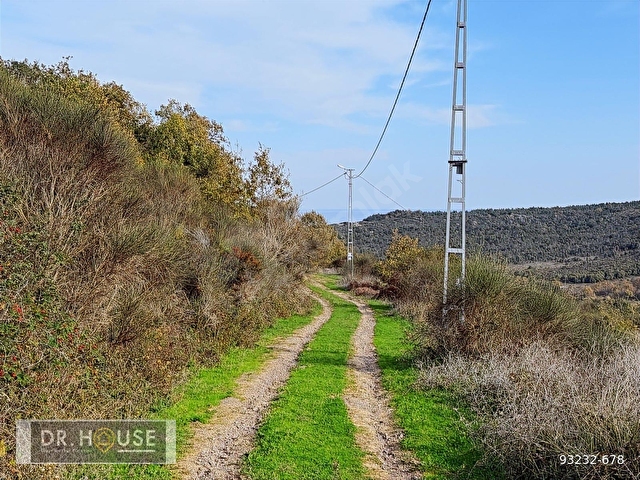 Şile Dr. House dan -Karacaköy Mah. - 659 m2 Net Arsa - 0.30 İmar - Görsel 2