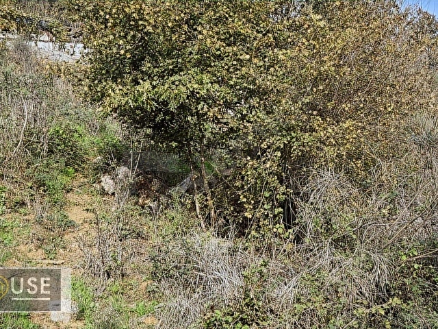 Şile Dr. House dan -Karacaköy Mah. - 659 m2 Net Arsa - 0.30 İmar - Görsel 15