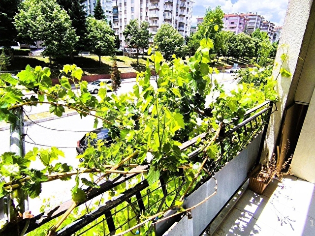 Kütahya Merkez Yenidoğan Dumlupınar Bulvarı Üzeri KÜTSO Özel İdare Yakını Eşyalı 1+1 Kiralık Apart - Görsel 19