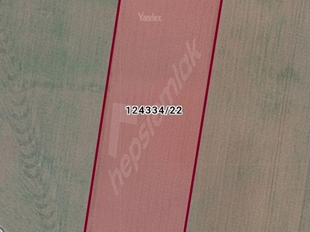 SATILIK 17784M2 TARLA YOL,DÜZ ÇOK UYGUN KONUMDADIR FIRSATTIR! - Görsel 6