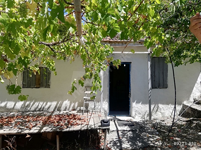 Tokat Merkez Cay Baglarinda Satilik 4700 M 2 Bahceli Bag Evi 89213 431 Hurriyet Emlak