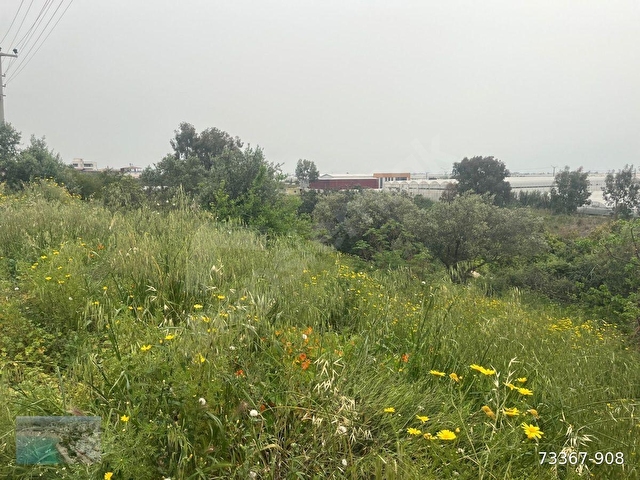 MERSİN SİLİFKE ATAYURTDA DEPO YAPIMINA UYGUN İMARLI 1329 M2 ARSA - Görsel 5
