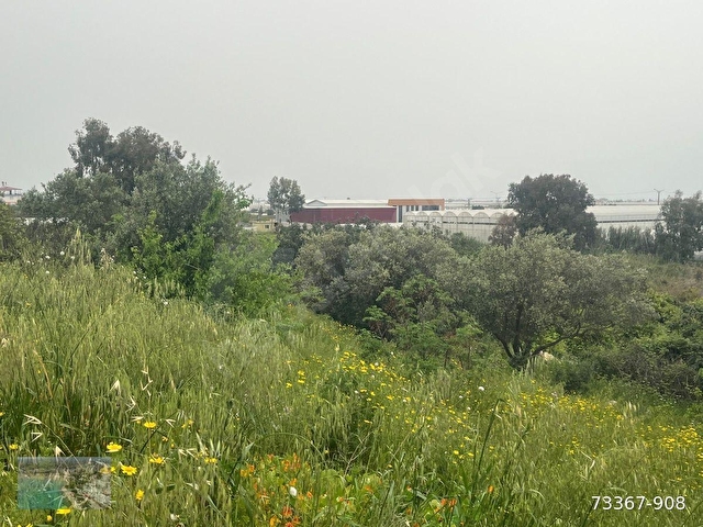 MERSİN SİLİFKE ATAYURTDA DEPO YAPIMINA UYGUN İMARLI 1329 M2 ARSA - Görsel 10