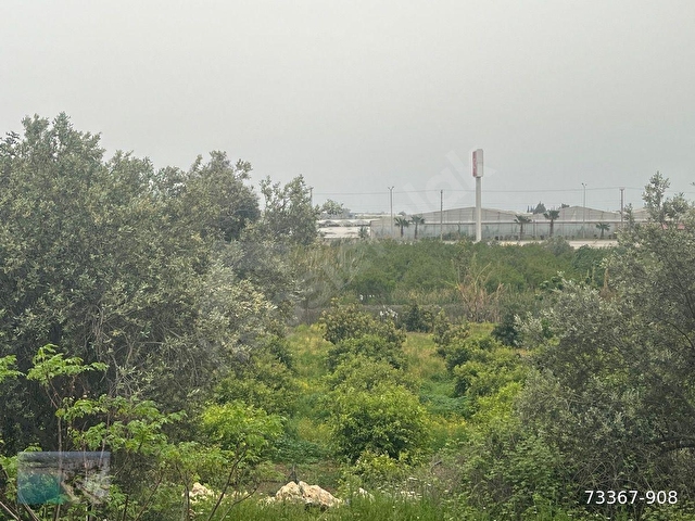 MERSİN SİLİFKE ATAYURTDA DEPO YAPIMINA UYGUN İMARLI 1329 M2 ARSA - Görsel 27