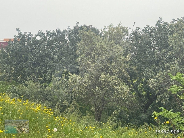 MERSİN SİLİFKE ATAYURTDA DEPO YAPIMINA UYGUN İMARLI 1329 M2 ARSA - Görsel 29