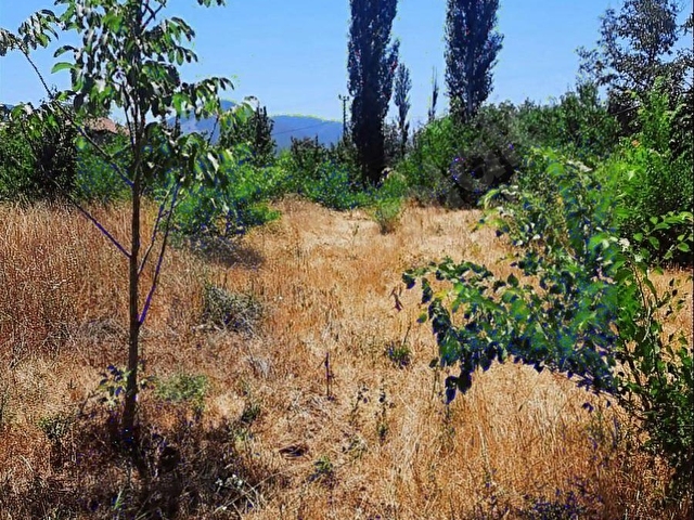 NİF MH 1589 M2 ARAZİ KÖY YERLEŞİK ALAN İÇİ - Görsel 22