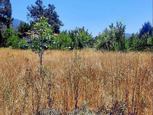 NİF MH 1589 M2 ARAZİ KÖY YERLEŞİK ALAN İÇİ - Görsel 8