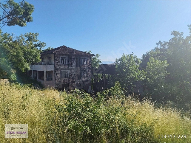 DÜZCE NASIRLIDA SATILIK TARLA - Görsel 4