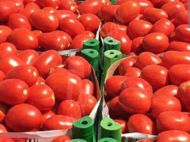 my EKİPden BAŞKUYUDA KÖYE YAKİN İKİ YOLA CEPHE KÖYEVİ PARSELİ HARİKA ARAZİ KAÇIRMAYINIZ. - Görsel 19