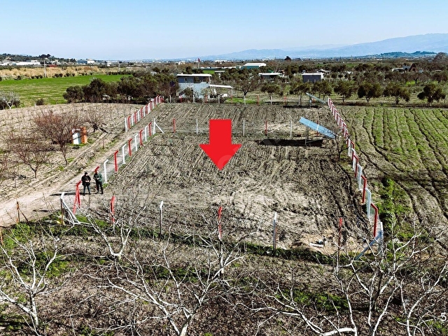 Kemalpaşa Örnekköy Altında 803 m2 (Tek Tapulu) Hobi Bahçesi - Görsel 8