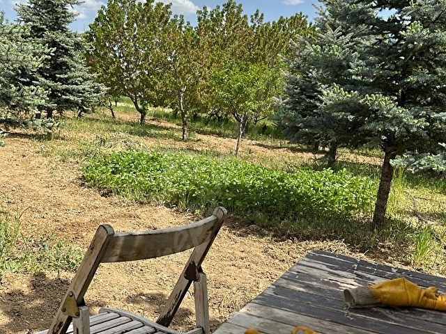SAHİBİNDEN SİRKELİ MERKEZDE SATLIK ÇİFTLİK SU KUYUSU VAR YASAL - Görsel 8