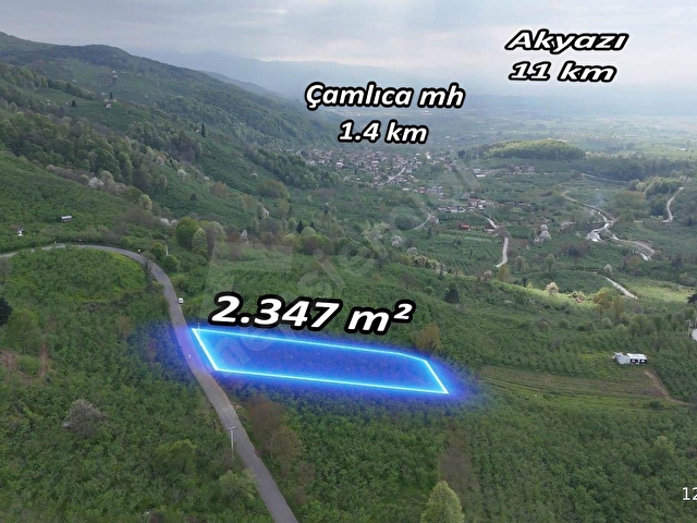 Çamlıcada Manzaralı 2347m²Fındık Bahçesi AsfaltYola 32m Cephe - Görsel 4