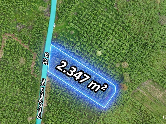 Çamlıcada Manzaralı 2347m²Fındık Bahçesi AsfaltYola 32m Cephe - Görsel 18