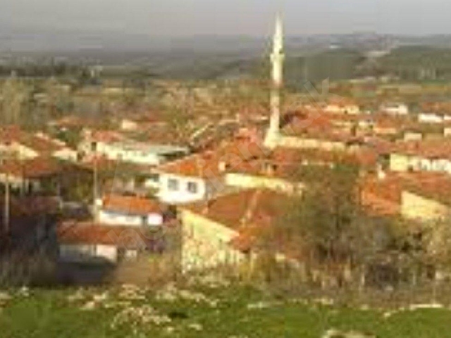 SOMA GÖKTAŞ KÖYÜ SATILIK ZEYTLİK - Görsel 2