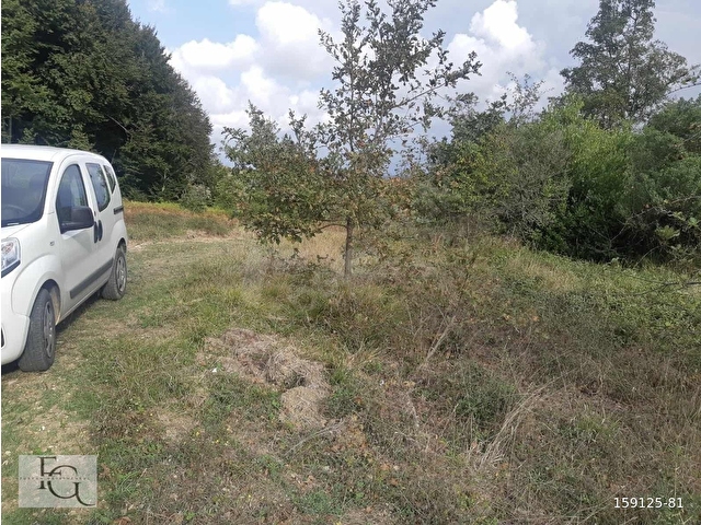 FURKANDAN AĞVAYA MERKEZE 15 DAKİKA MESAFEDE SATILIK ARSA - Görsel 9
