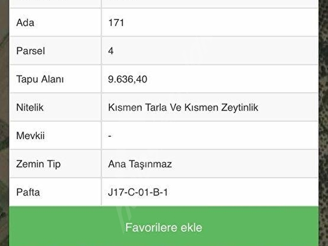 DAĞLI GAYRİMENKULDEN YOLA CEPHELİ 9.636 M² DEĞERLİ ZEYTİNLİK - Görsel 6