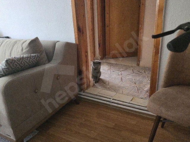 AKHAN MÜSTAKİL 2 KATLI SATILIK FIRSAT EV 280 M2 ARSA İÇİNDE ALT KAT 2+1 ÜST KAT 4+1 AYRI GİRİŞLİ - Görsel 12