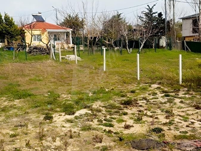 ÇATALCA KESTANELİK 243 M2 HİSSELİ TARLA SATILIK(250/7)