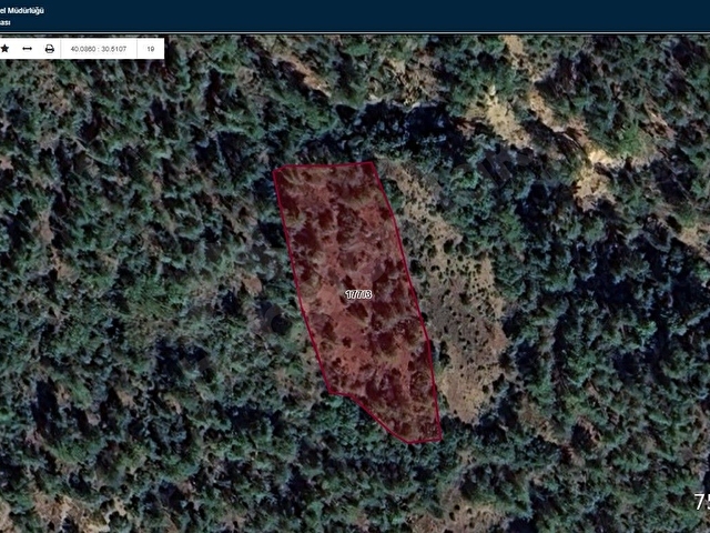 DOĞA CİTYDEN SATILIK BİLECİK İNHİSAR TOZMANDA 3.088 M2 BAHÇE