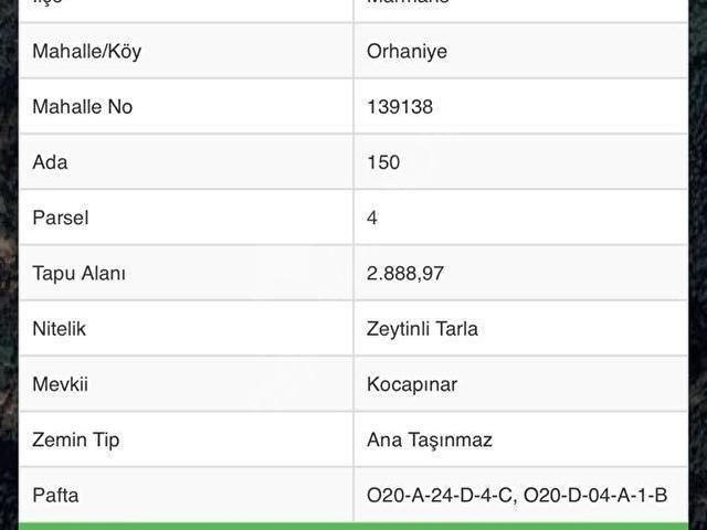 Marmaris Orhaniye’de Ormana Sınır Kadastral Yola Sahip 2888 m2 Tarla - Görsel 2