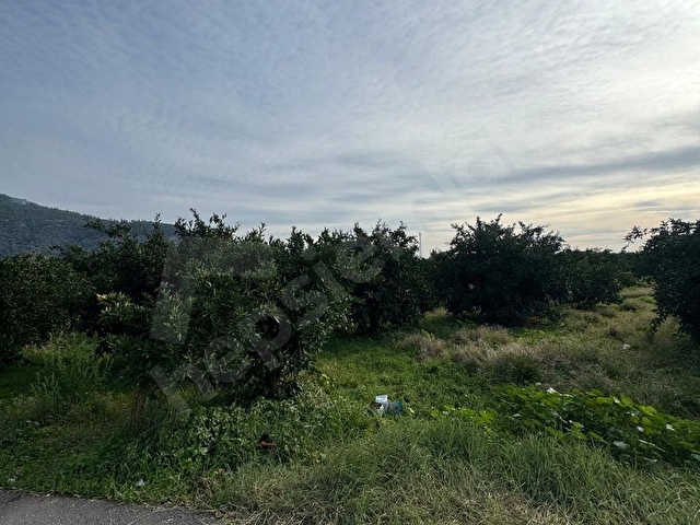 Sahibinden Satılık 202 m2 Mandalina Bahçesi - Görsel 3