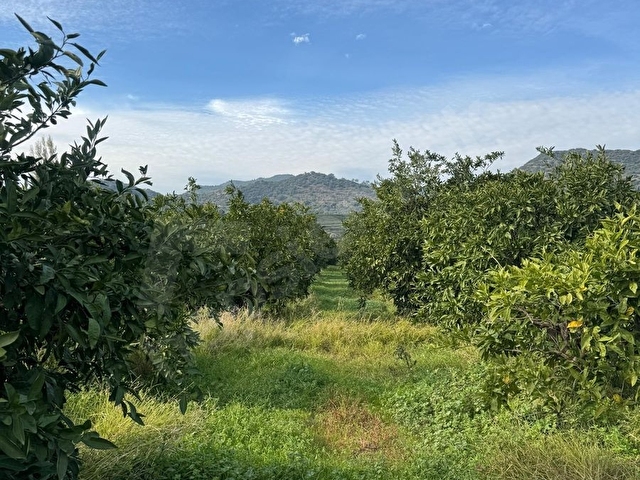 Sahibinden Satılık 202 m2 Mandalina Bahçesi - Görsel 2