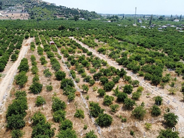 Sahibinden Satılık 202 m2 Mandalina Bahçesi - Görsel 8