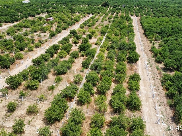 Sahibinden Satılık 202 m2 Mandalina Bahçesi - Görsel 11