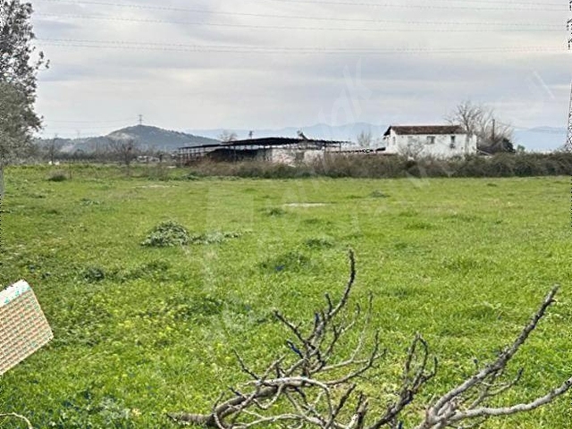 KALYONCU GAYRİMENKULDEN TORBALIDA YOLA SIFIR TEK TAPULU ARSA - Görsel 8