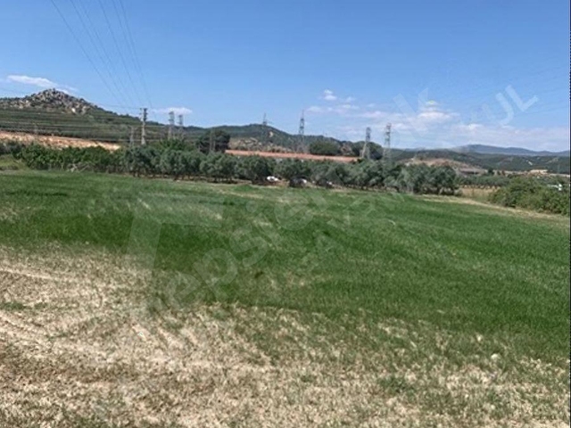 KALYONCU GAYRİMENKULDEN TORBALIDA YOLA SIFIR TEK TAPULU ARSA - Görsel 10