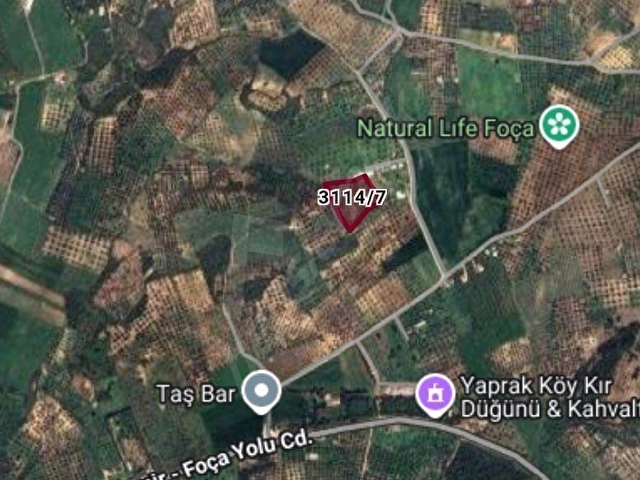 İzmir Aliağa Barboros Hayrettin Paşada Satılık Tarla, Çakırdan - Görsel 2