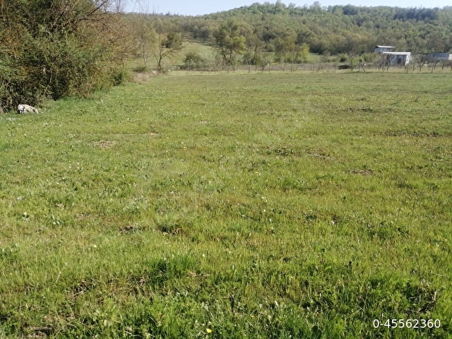 ‼️KESTEL GÖLCÜK KÖYÜ SATILIK ARSA 3747 m2‼️