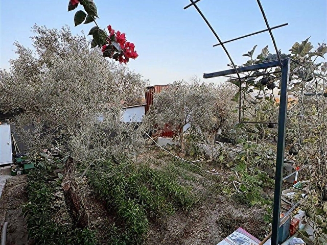 Seferihisar Sığacık ta Doğayla iç içe Satılık Müstakil Ev - Görsel 26