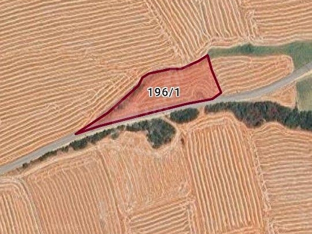 Şarköy Kızılcaterzi 5 Dönüm Satılık Tarla - Görsel 2