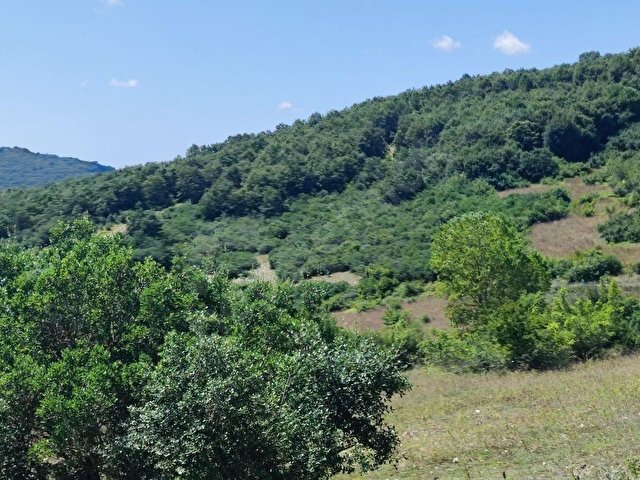 KANDIRA MÜKEMMEL KONUMDA 11076 M2 ASFALT CEPHE PANORAMİK MANZARA - Görsel 3