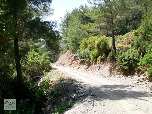 Alanya Gümüşkavak Yavaşta Satılık 28.000.m2 Tarla - Görsel 28