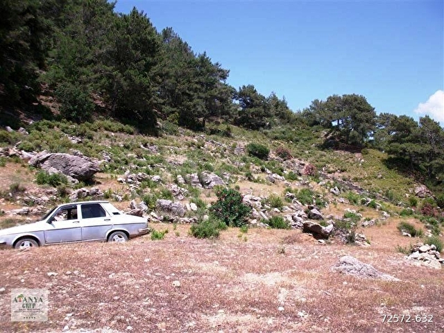 Alanya Gümüşkavak Yavaşta Satılık 28.000.m2 Tarla - Görsel 13