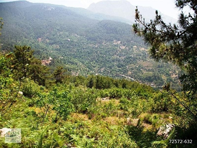 Alanya Gümüşkavak Yavaşta Satılık 28.000.m2 Tarla - Görsel 3