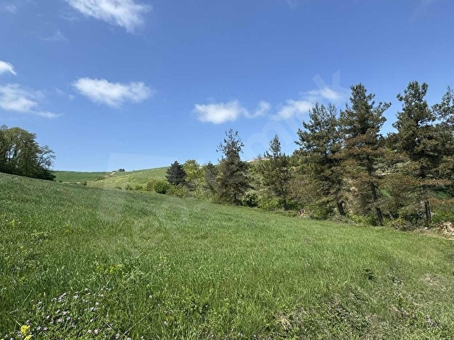 Kocaeli Derince Kaşıkçı Mah. Kadastral Yol Cepheli 1.995m2 - Görsel 16